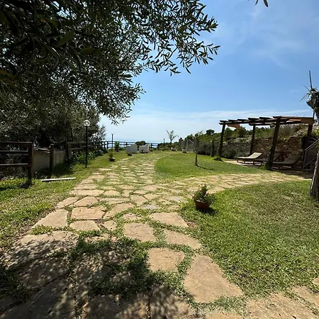 Tenuta Belvedere Cilento-2