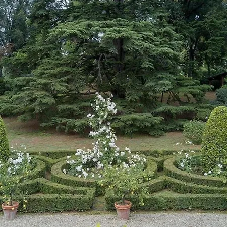 Villa Dante-2