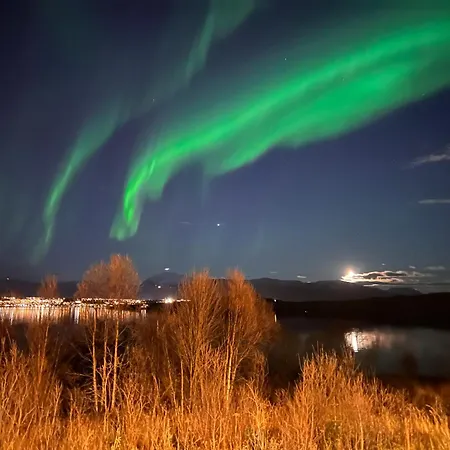 Aurora North-2