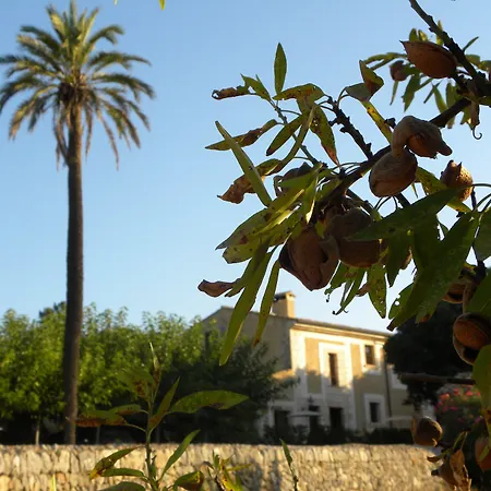 Agroturismo Son Siurana-2