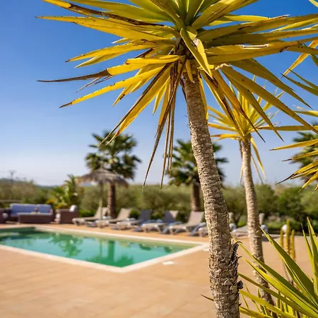 Finca Cas Padrins-2