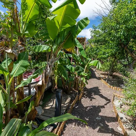 Finca OASIS Fataga-2