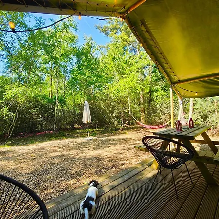 Safari Retreat "Explorer Tents"-3