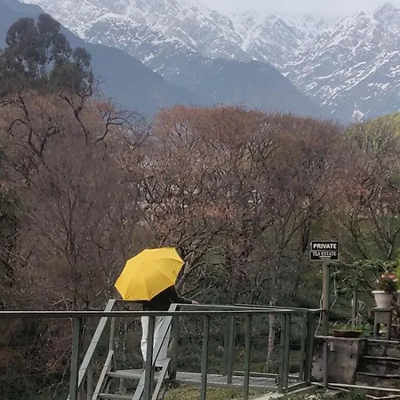 Lamrin Norwood Green Palampur, Himachal Pradesh-2