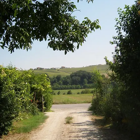 Agriturismo Le Vigne-3