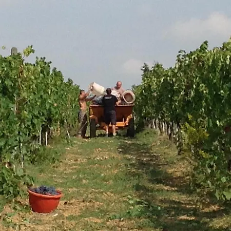 Agriturismo Le Baccane-3