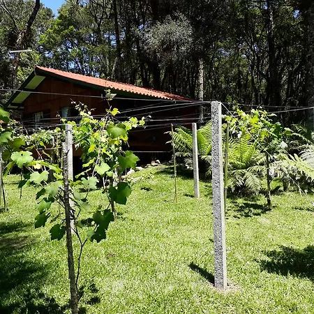 Cabana Costa Rural-3