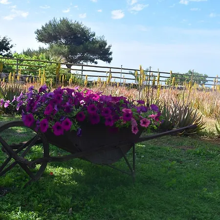 Il Giardino delle Aloe-2