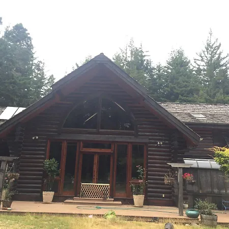 Redwood Forest-2