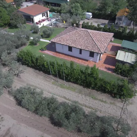 Fattoria San Vincenzo-2