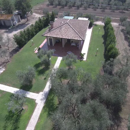 Fattoria San Vincenzo-3