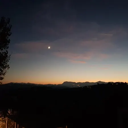 Il Vecchio Pioppo-3