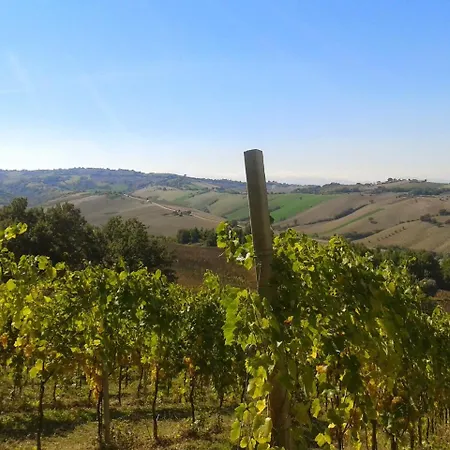 Agriturismo Le Vigne-2