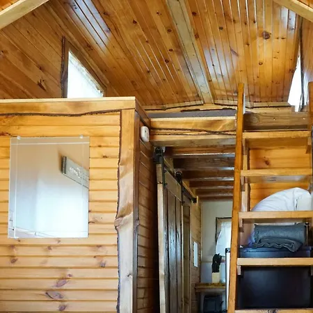 Tiny House Leadville Colorado-3