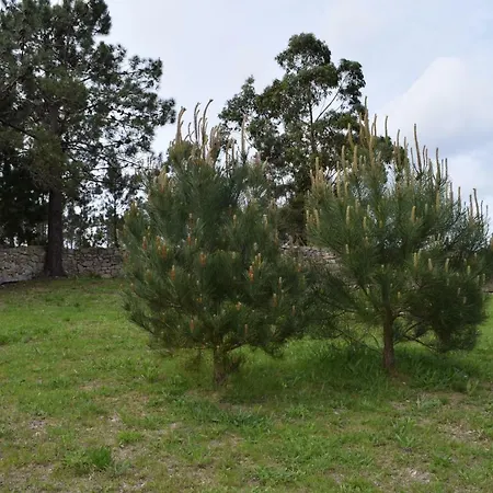 Xavina Camarinas-2