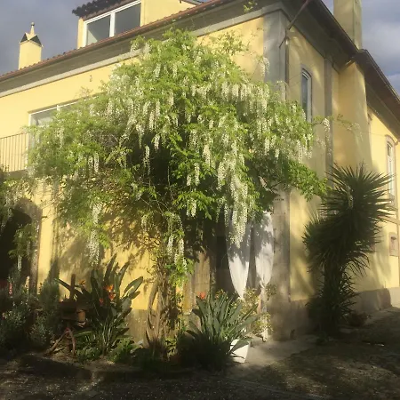 Casa Magnólia-2