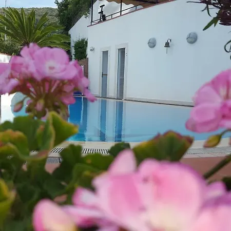 Villa Araucaria-3