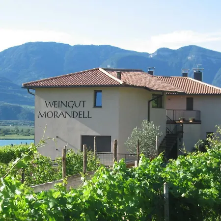 Weingut Morandell-2
