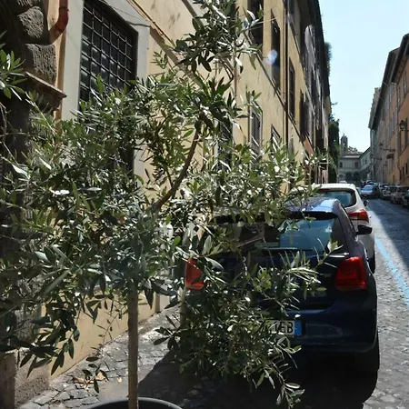 Petit Bijou De Rome Vatican-Trastevere-3