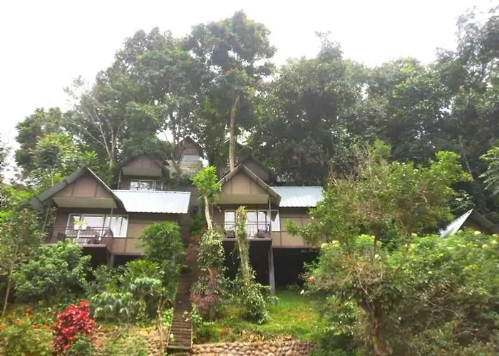 Moselberg Riverside Cottages