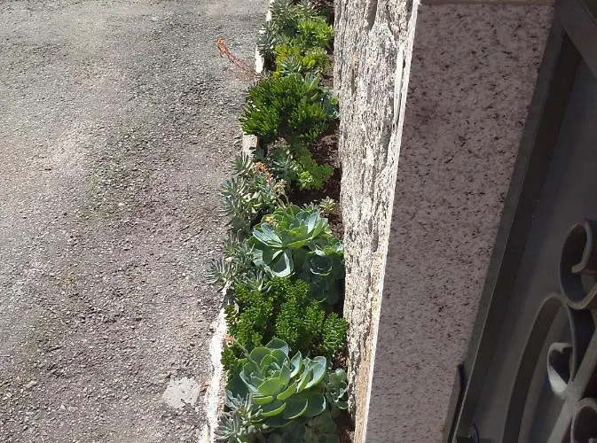 Casa Morgado Vila Braga