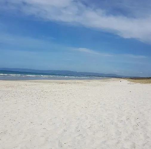 Thistle Do Beach Bach