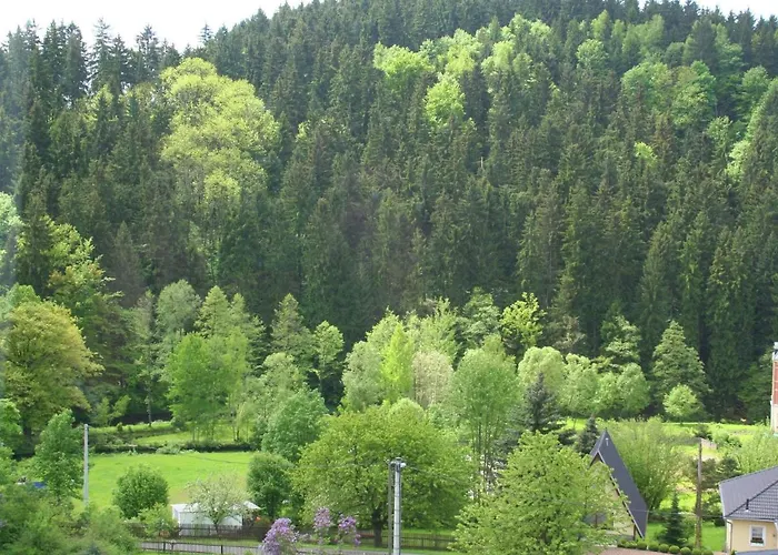 Peaceful Villa In Borstendorf