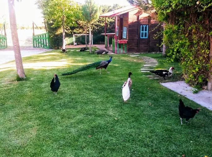 Villa Refugio Con Casitas Infantiles Zamora