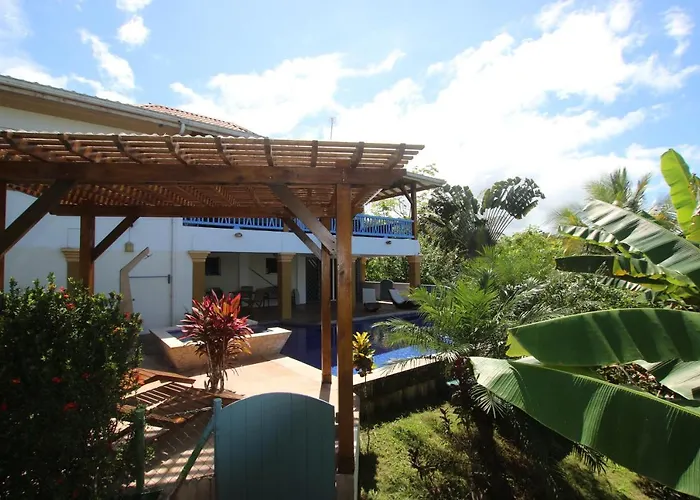 Treehouse Pilon Pavones