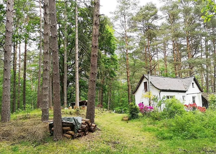 Villa romantisches kleines altes Häuschen im Zauberwesenwald Hamburg