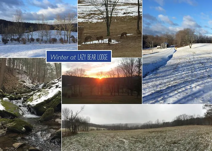 Private Dog-Friendly Home: 3 Mi To Elk Mountain