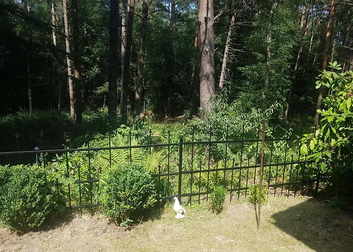 Villa romantisches kleines altes Häuschen im Zauberwesenwald Hamburg