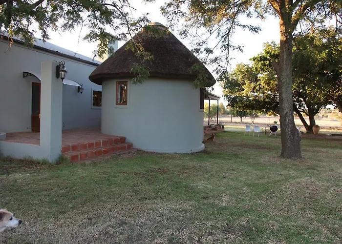 Brakkies The Country Dog Escape