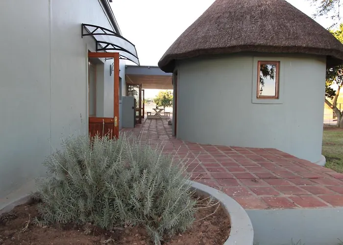 Brakkies The Country Dog Escape
