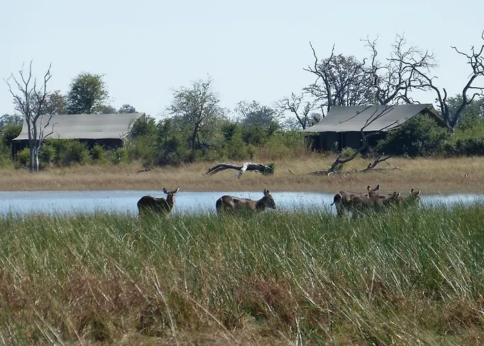 Nogatsaa Pans Chobe Lodge