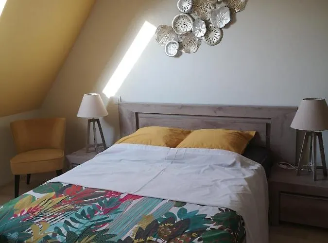 Logement Douillet Neuf L'Indian