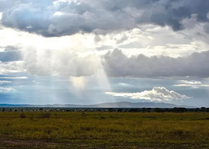 Serengeti Sound Of Silence