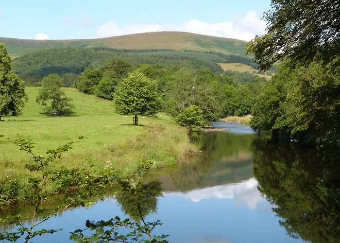 Viewlangho