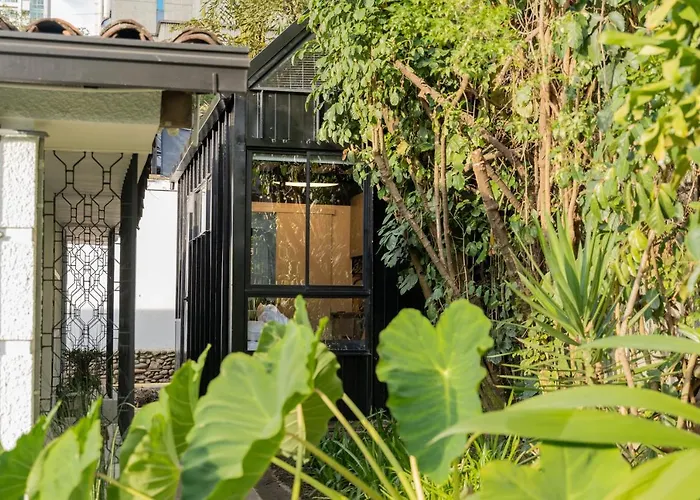 Alojamiento En Tiny House En El Poblado Mde A106 By Roots Rentals