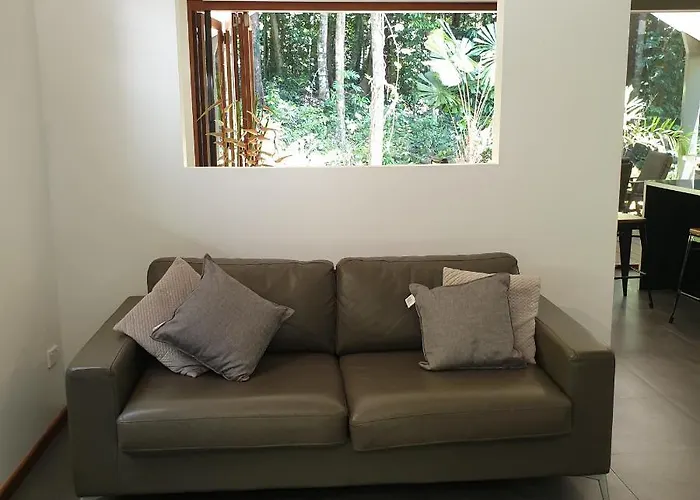 Forest Views