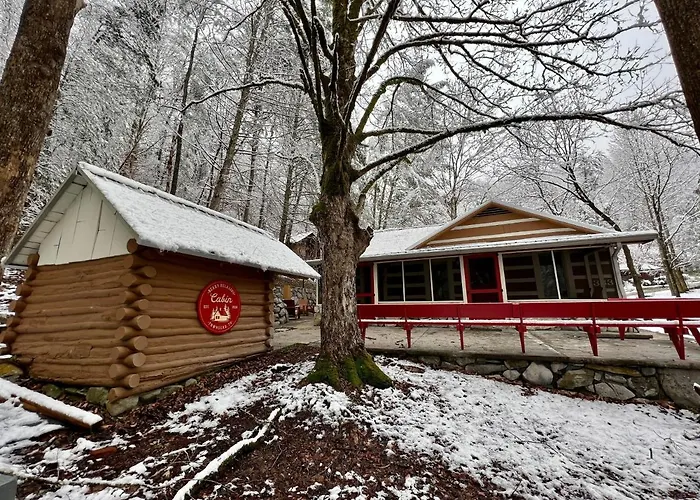 Beary Relaxing Cabin - Rustic With Outdoor Patio