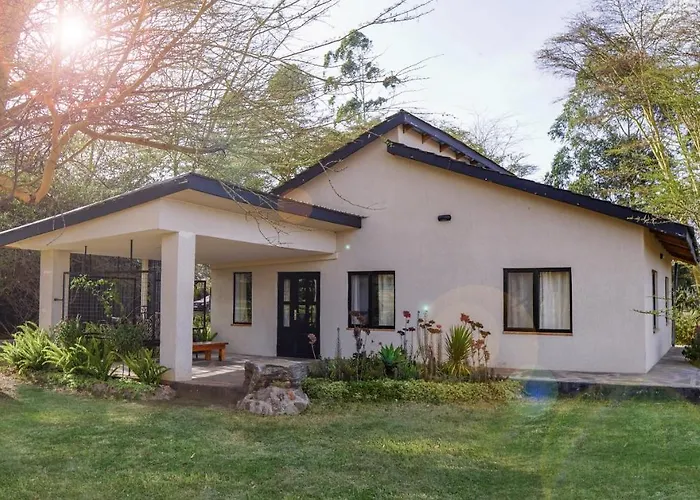 The Cabin