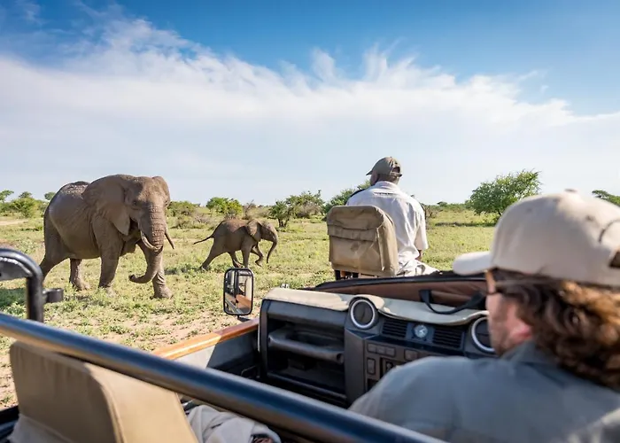Kambaku Safari Lodge