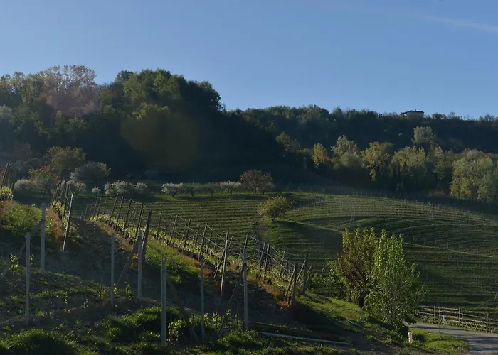 Villa Costa di Bussia Monforte dʼAlba
