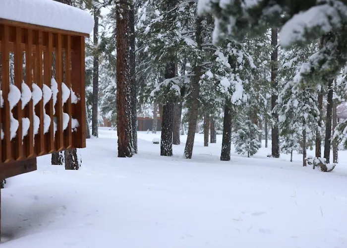 Cabin In The National Forest Near Brian Head, Bryce Canyon And Zion