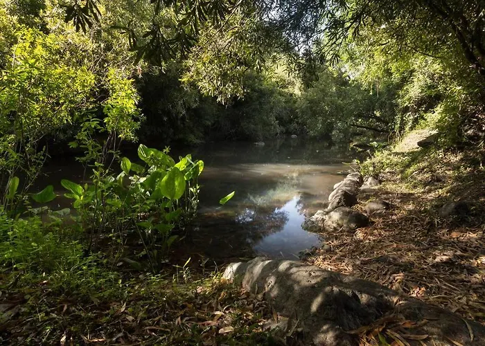 La Casa Del Bosque Carmelo