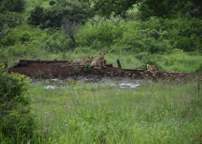 African Spirit Game Lodge