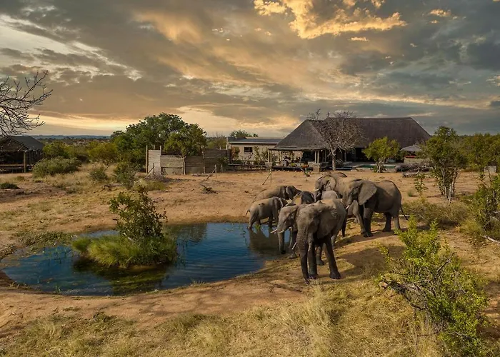 Imagine Africa Luxury Tented Camp
