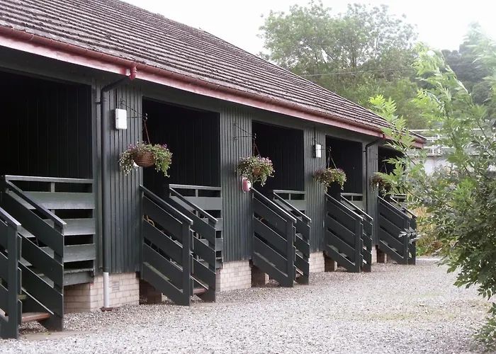 Logierait Pine Lodges