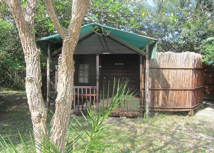 Toad Tree Cabins
